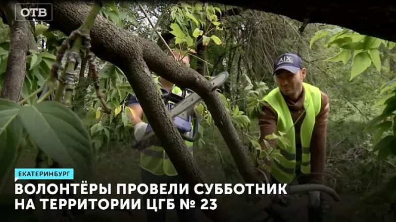 Волонтёры провели субботник на территории ЦГБ № 23