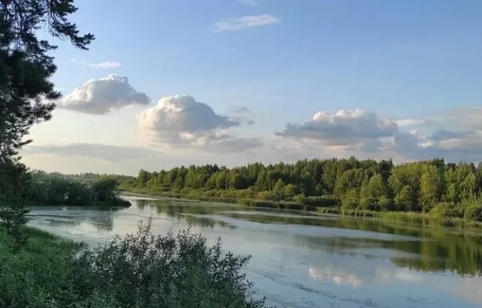 Под Тюменью в лесу обнаружили семью старообрядцев