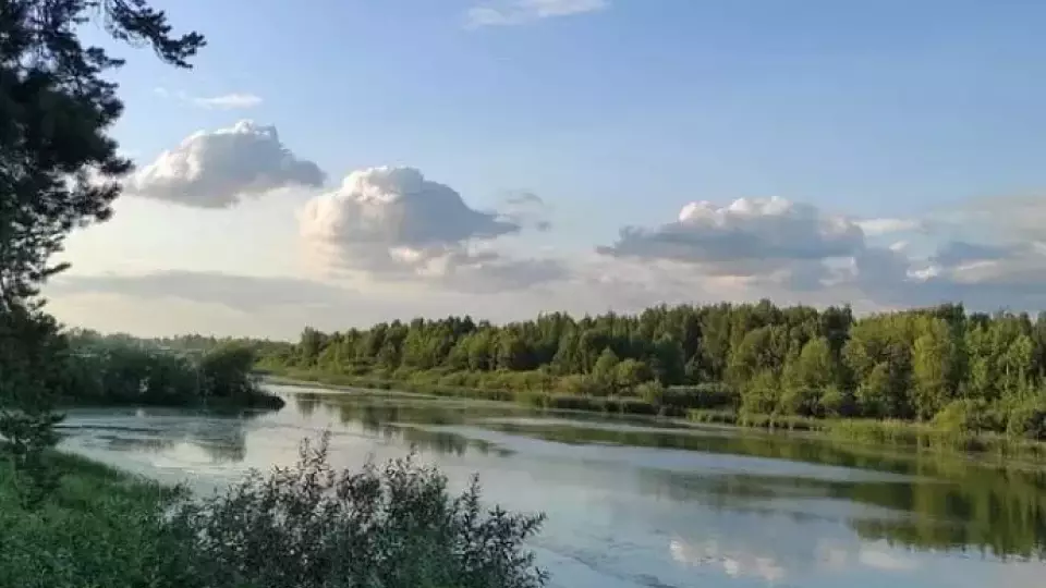 Под Тюменью в лесу обнаружили семью старообрядцев