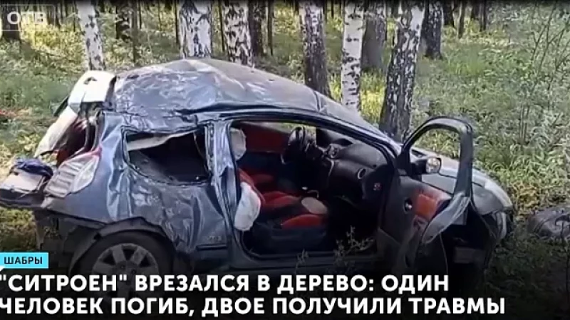 «Ситроен» врезался в дерево: один человек погиб, двое получили травмы