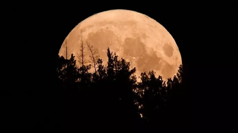 В ночь на 1 августа в Свердловской области можно будет наблюдать суперлуние