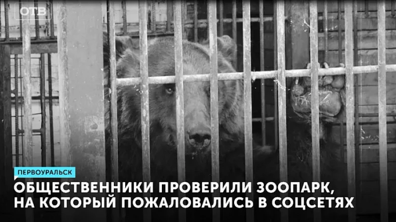 Общественники проверили зоопарк, на который пожаловались в соцсетях