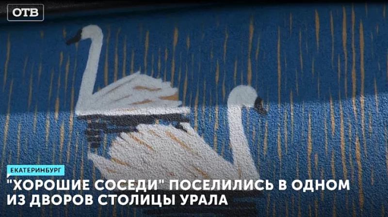 «Хорошие соседи» поселились в одном из дворов столицы Урала