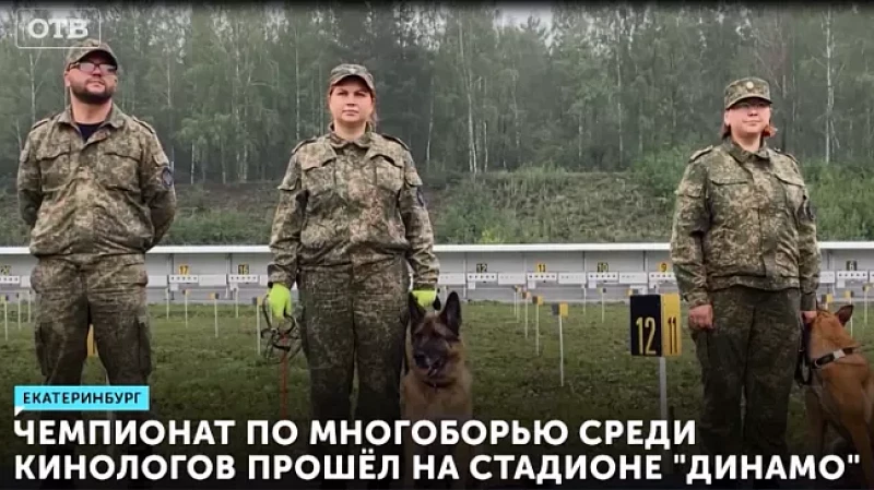 Чемпионат по многоборью среди кинологов прошёл на стадионе «Динамо»