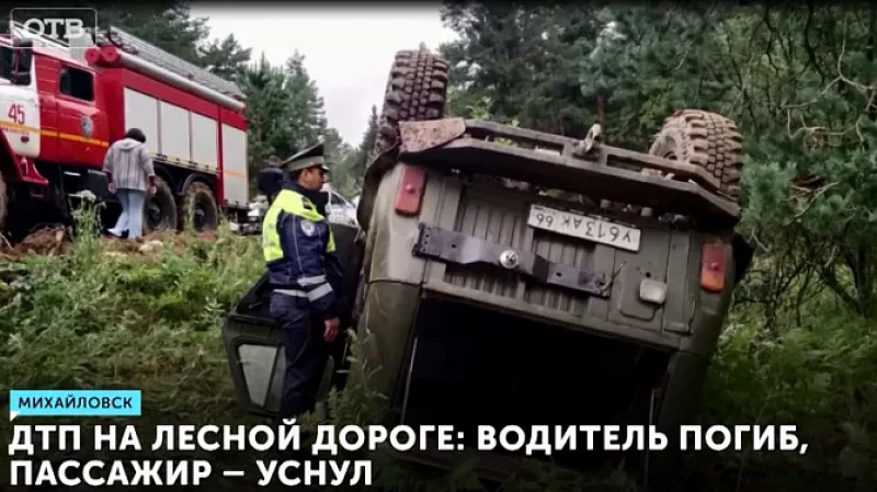 ДТП на лесной дороге: водитель погиб, пассажир – уснул