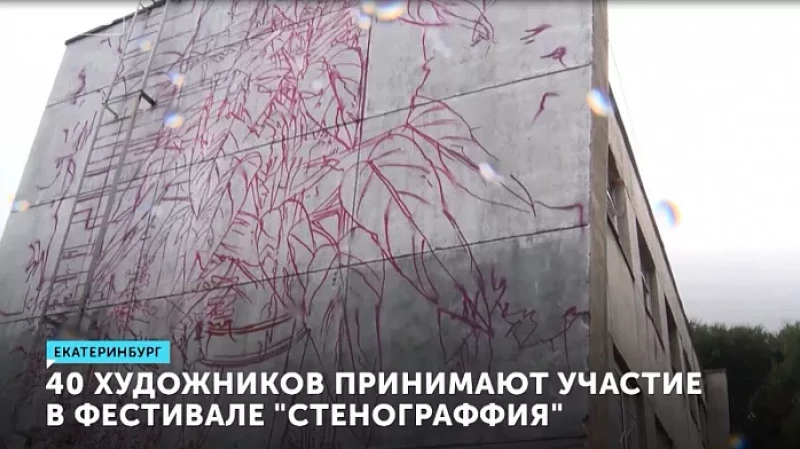 40 художников принимают участие в фестивале «Стенограффия»