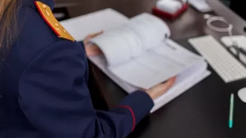 Многодетную мать-блогера обвиняют в жестоком обращении с детьми