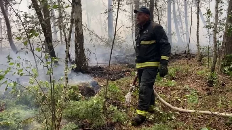 Более 100 специалистов Уральской авиабазы ликвидируют лесные пожары в Невьянском районе