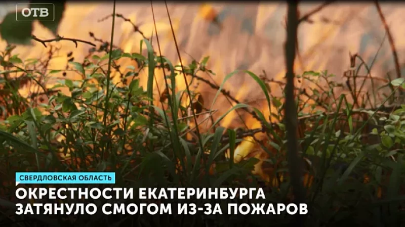 Окрестности Екатеринбурга затянуло смогом из-за пожаров