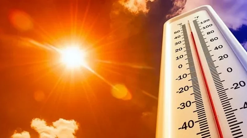 Больше пить и меньше работать: советы врача о том, как пережить жару