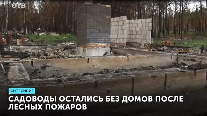 Садоводы остались без домов после лесных пожаров