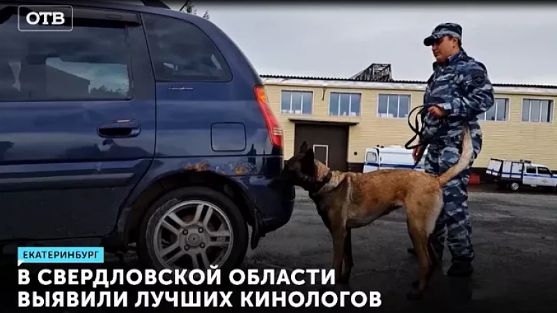 В Свердловской области выявили лучших кинологов
