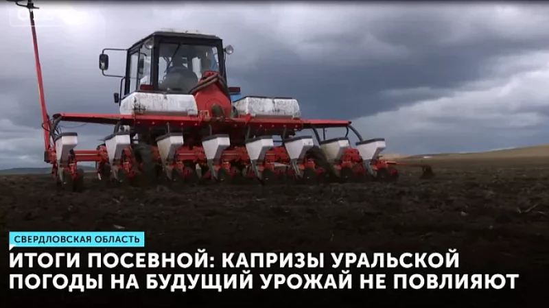 Итоги посевной: капризы уральской погоды на будущий урожай не повлияют