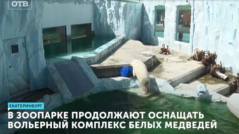 В зоопарке продолжают оснащать вольерный комплекс белых медведей