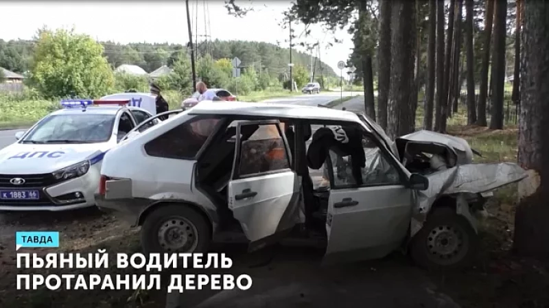 Пьяный водитель протаранил дерево