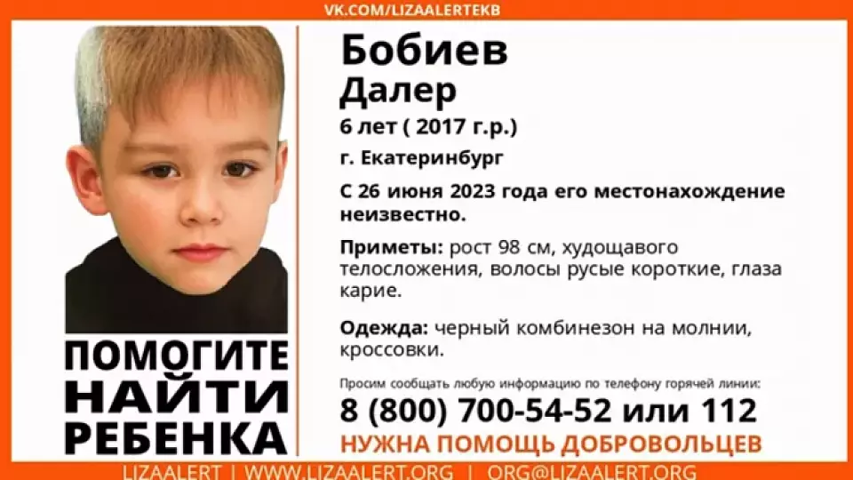 Глава СК РФ Александр Бастрыкин взял под контроль дело об исчезновении 6-летнего Далера