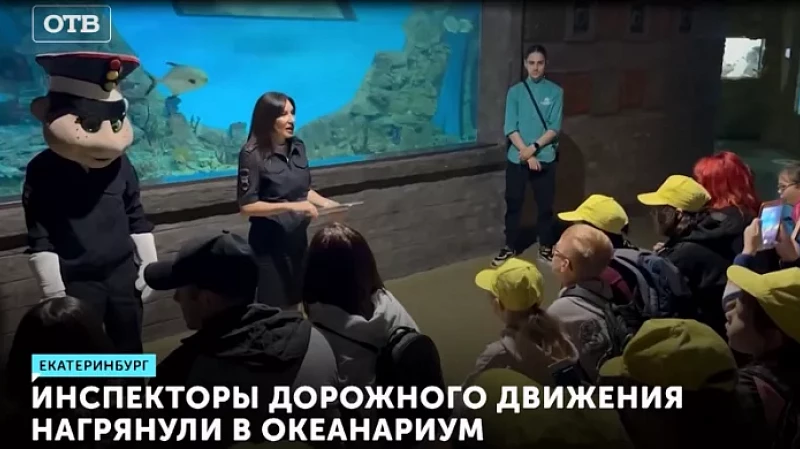 Инспекторы дорожного движения нагрянули в океанариум