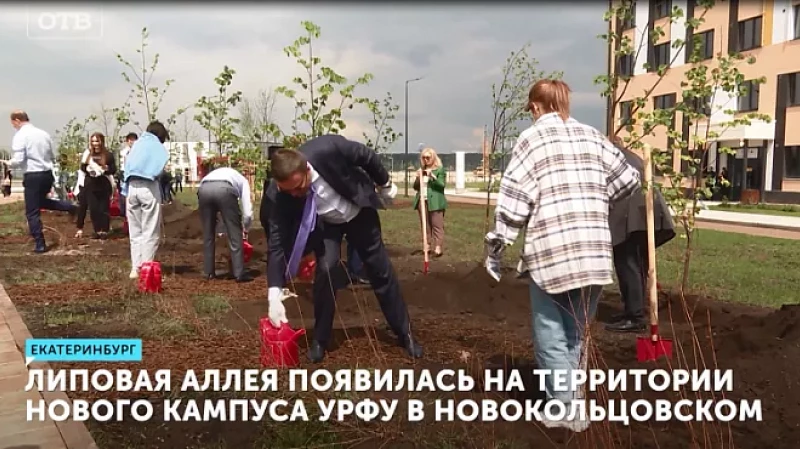 Липовая аллея появилась на территории нового кампуса УрФУ в Новокольцовском