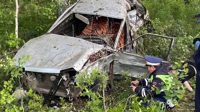 22-летний парень разбился на машине в Ирбитском районе