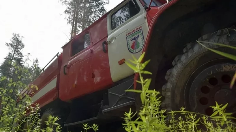 Ликвидированы все лесные пожары в Свердловской области