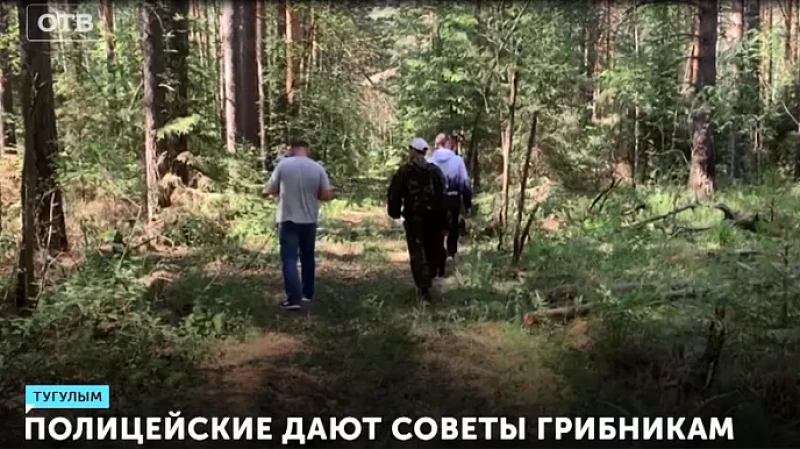 Полицейские дают советы грибникам