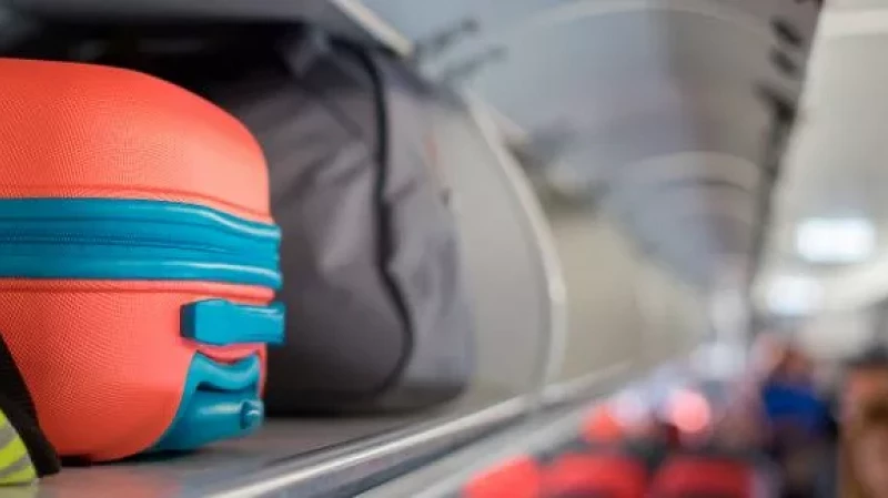 Около 300 кг запрещенной к ввозу продукции изъяли за полгода в аэропорту Кольцово