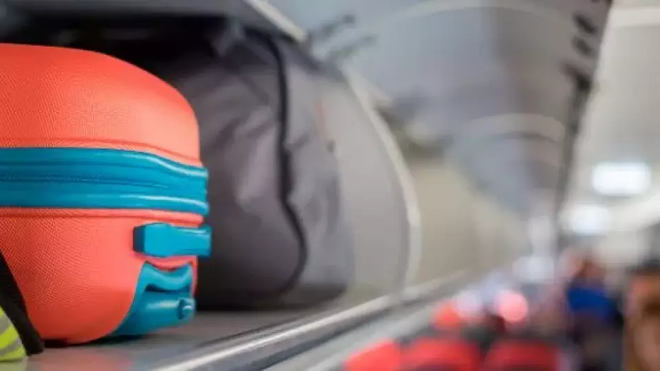 Около 300 кг запрещенной к ввозу продукции изъяли за полгода в аэропорту Кольцово