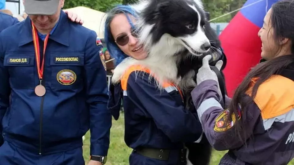 Кинологический расчет из Екатеринбурга победил в личном зачёте в соревнованиях на Южном Урале