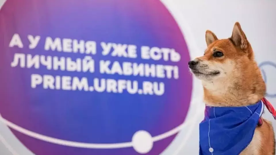 В этом году абитуриентам УрФУ справиться со стрессом будет помогать пёс