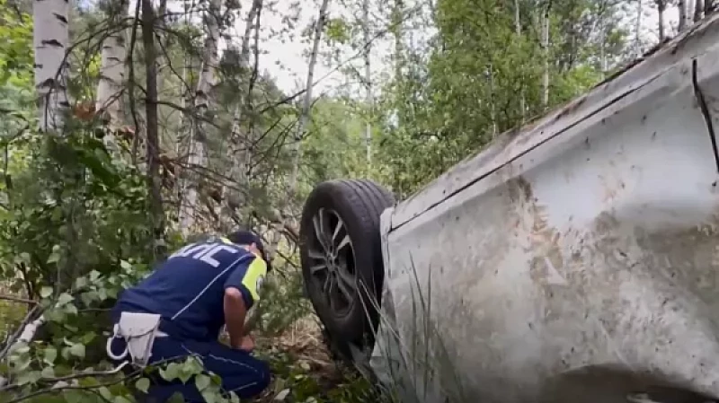 Заяц спровоцировал ДТП на трассе?