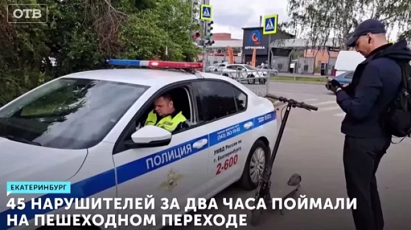 45 нарушителей за два часа поймали на пешеходном переходе