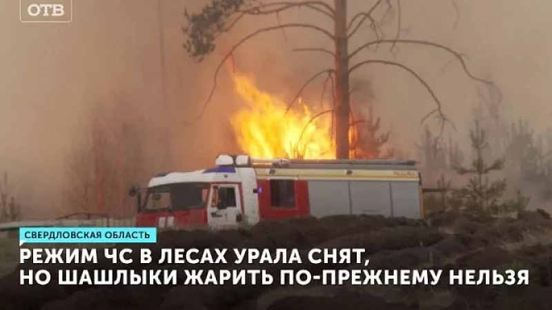Режим ЧС в лесах Урала снят, но шашлыки жарить по-прежнему нельзя