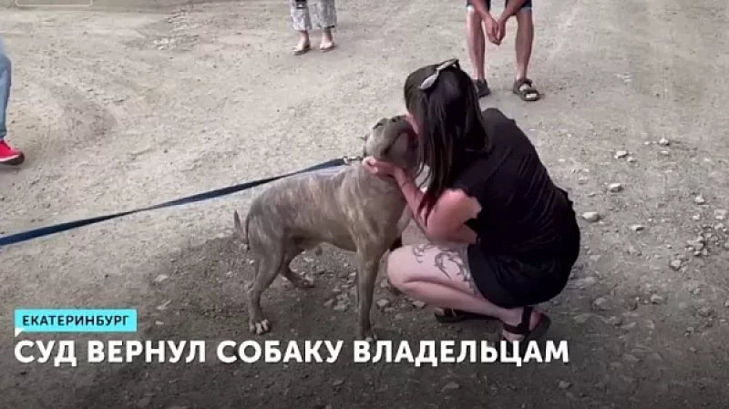 Суд вернул собаку владельцам