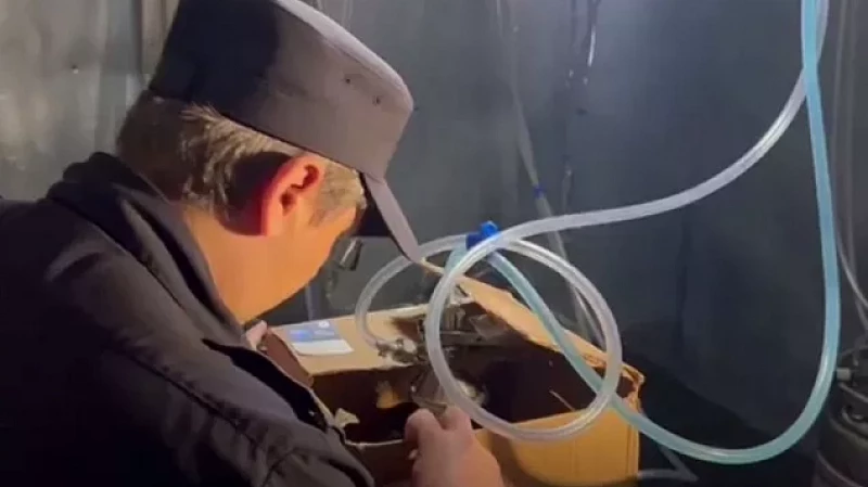 Смертельный сидр искали общественники в магазинах Екатеринбурга