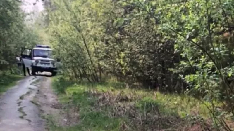 Рецидивист напал на девушку во время пробежки в лесу