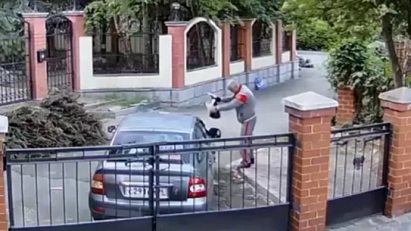 Жители Широкой речки жалуются на агрессивного соседа