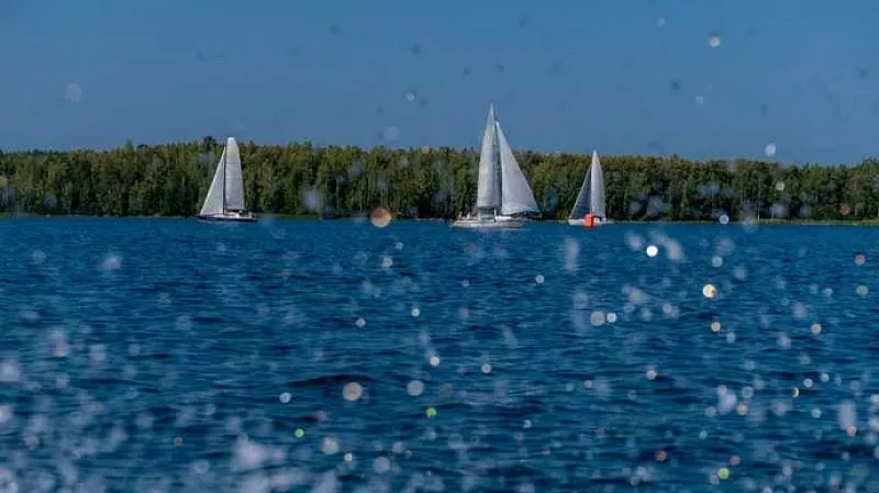 Александру Бастрыкину предоставят доклад об обмелении озера Увильды