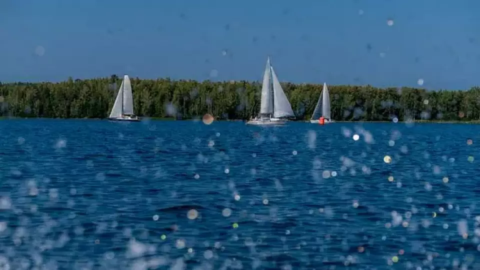 Александру Бастрыкину предоставят доклад об обмелении озера Увильды