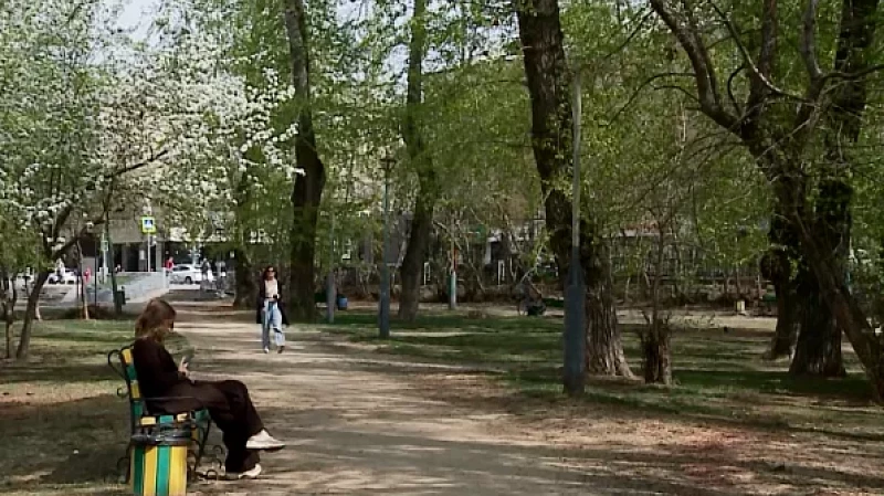 Отдать голос за любимую территорию можно на сайте 66.gorodsreda.ru и на Госуслугах