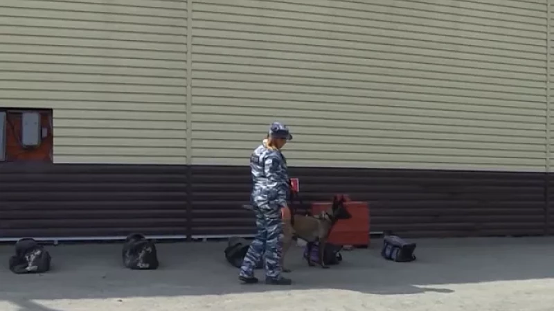 Дети сотрудников правоохранительных органов побывали на экскурсии в кинологическом центре МВД