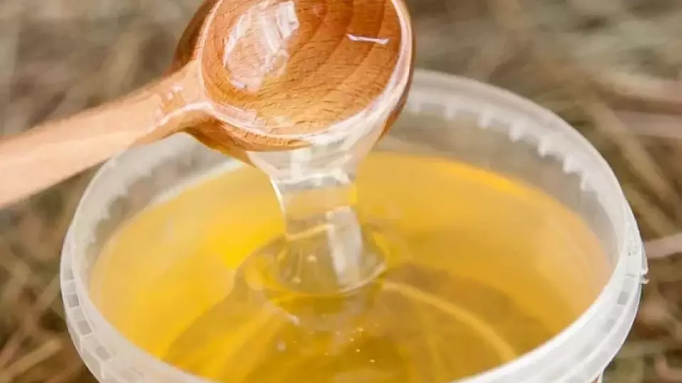 Ввоз вкусной запрещёнки пресекли сотрудники Кольцово