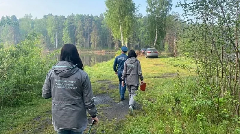 Нарушителей противопожарного режима обнаружили контрольные группы в Сысерти