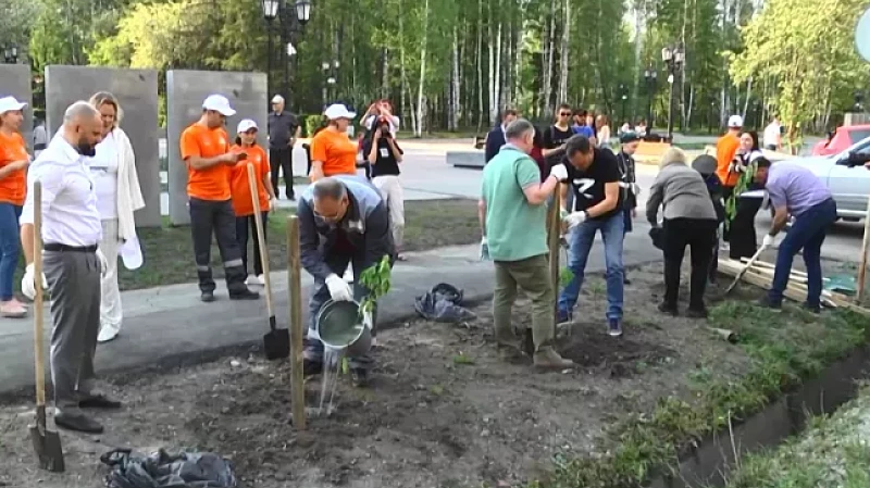 Рябиновая аллея появилась в Ревде