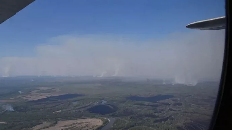 Денис Мамонтов попросил свердловчан не посещать леса в ближайшие выходные