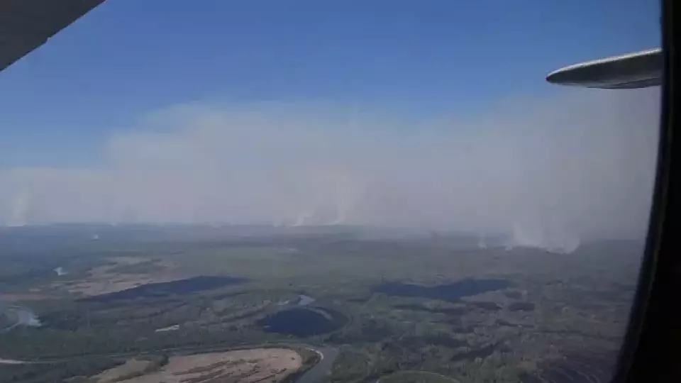 Денис Мамонтов попросил свердловчан не посещать леса в ближайшие выходные