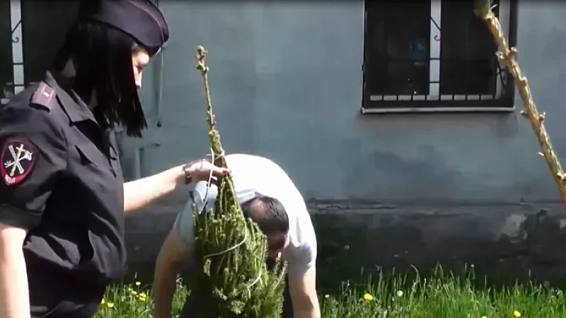 В рамках акции "Сад памяти" полицейские Полевского высадили сибирские ели