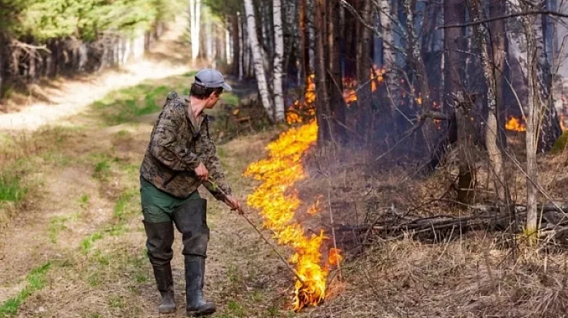 За сутки в Свердловской области потушено 17 пожаров на площади 2 066 га