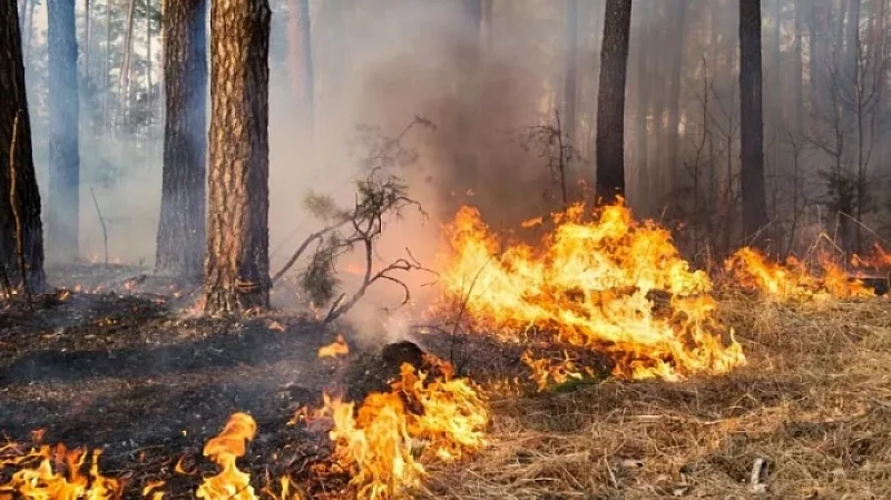 Серьезная профилактическая работа позволила Каменск-Уральскому избежать крупных пожаров