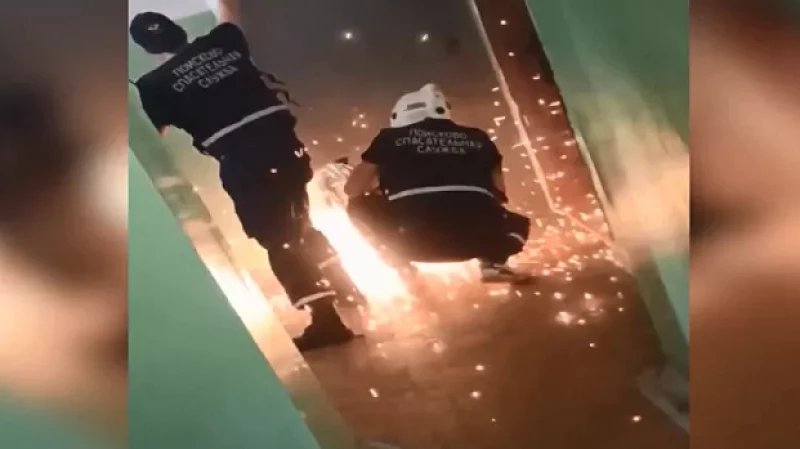 Собаку, которую в онлайн-эфире избивал хозяин, забрали волонтёры