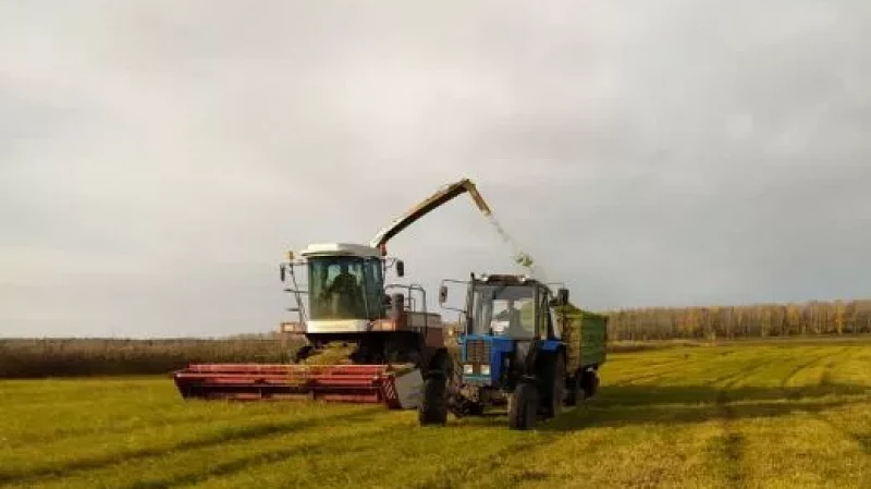 В регионы УрФО для поддержки производителей зерна направлено 543 млн. рублей